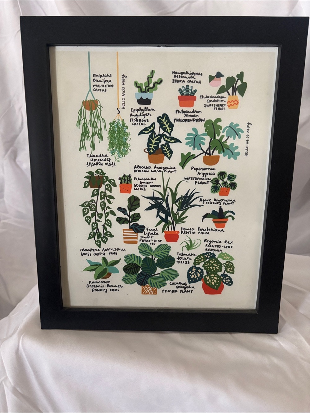 hello miss Green and Black Botanical Print